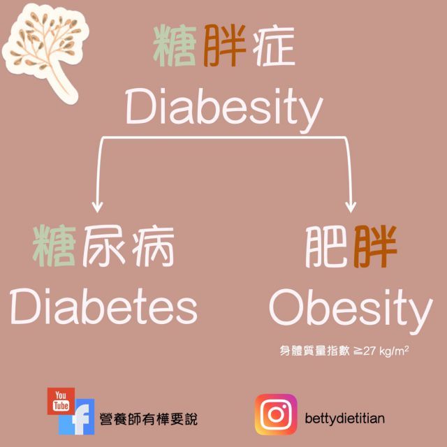 糖胖症（Diabesity）試紙糖尿病合併肥胖，會造成心血管疾病、退化性關節炎等疾病風險倍率上升。