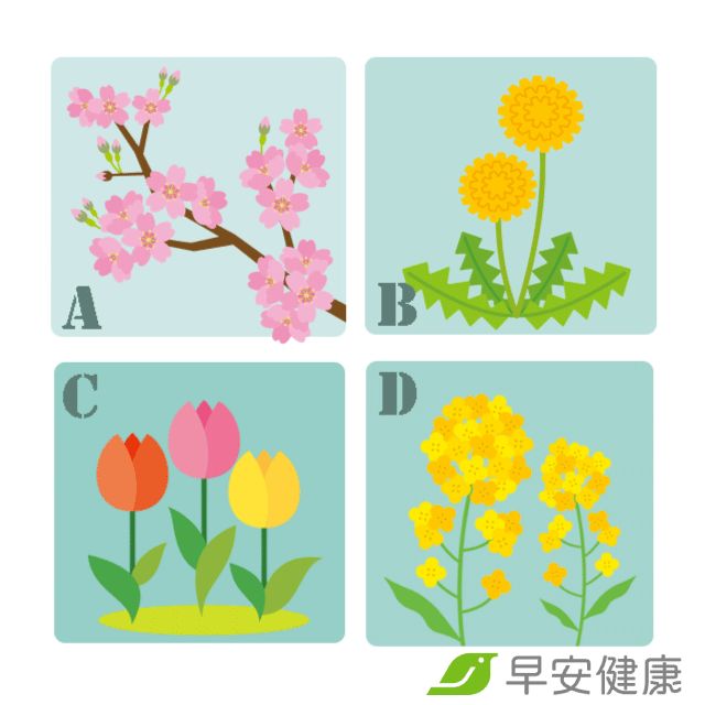說到春天，你會想到下列哪種花呢？