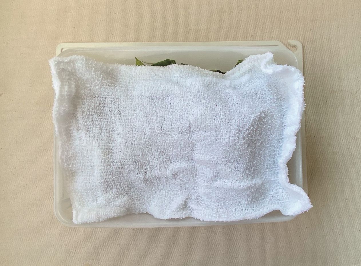 準備一條很濕的小毛巾，稍微擰乾到不會滴水的程度，直接蓋在地瓜葉上，蓋緊保鮮盒蓋，冷藏保存。