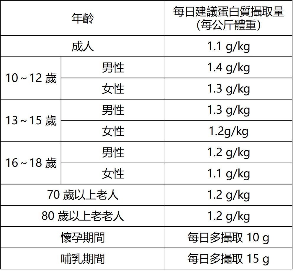 每日蛋白質建議攝取量