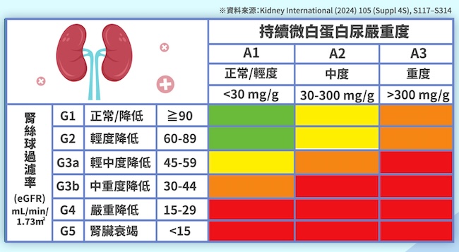 觀察腎功能指數eGFR，就是腎絲球過濾率，如果數值小於 60 mL/min/1.73m2，可能就代表我們的腎臟已經有一些衰退情況，需要有專業的醫師來診治與協助。