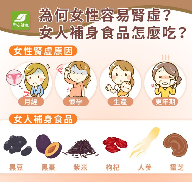 為何女性容易腎虛？女人補身食品怎麼吃？