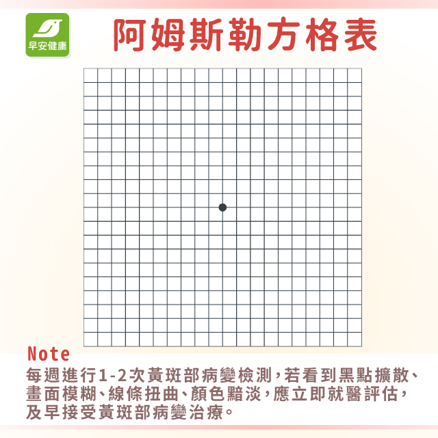 黃斑部病變檢測：阿姆斯勒方格表