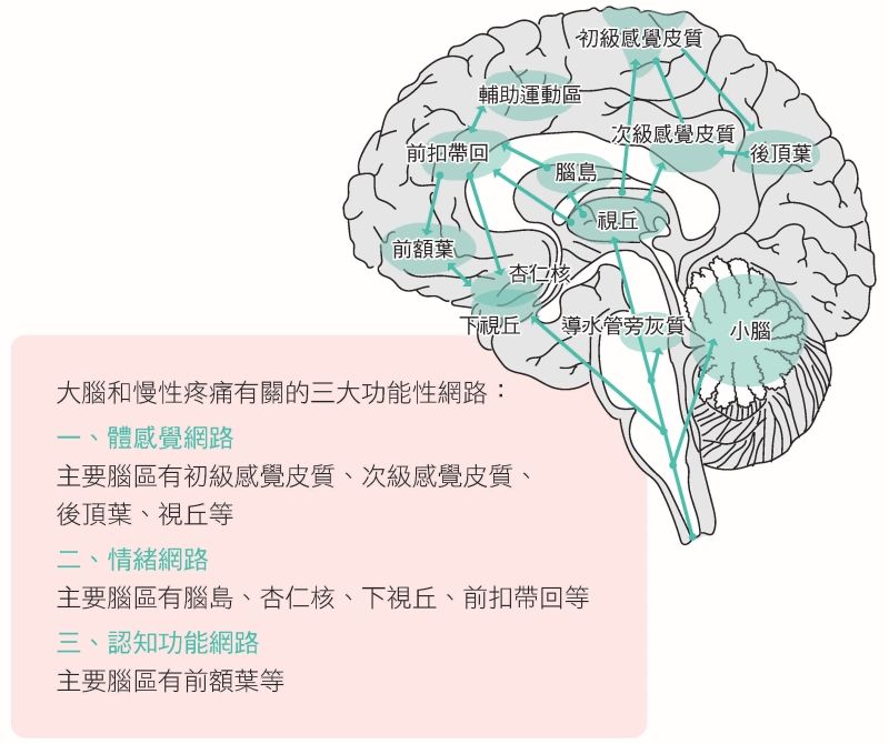 慢性疼痛