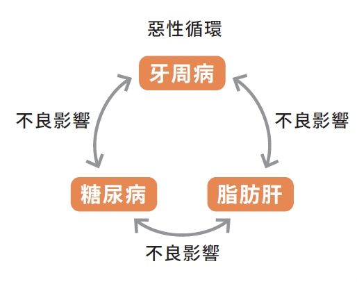 牙周病引起脂肪肝