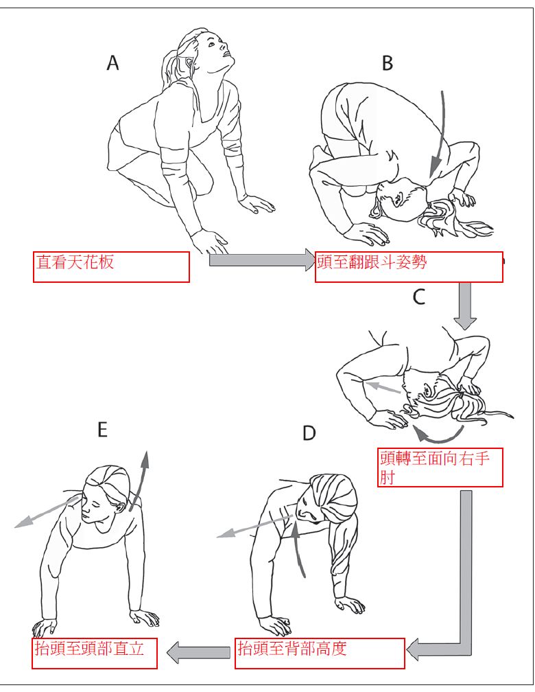 臺北市立聯合醫院＿耳石復位法