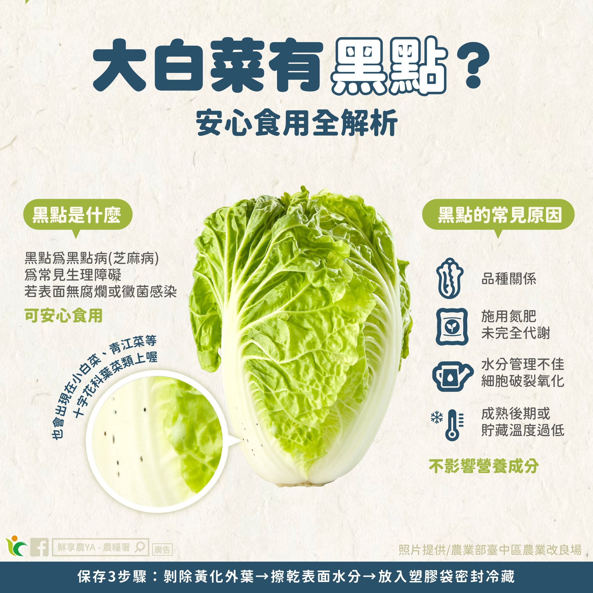 大白菜有黑點怎麼辦