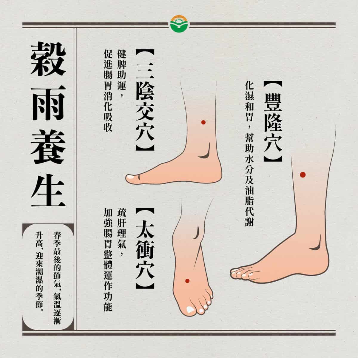 馬光中醫_穀雨穴道