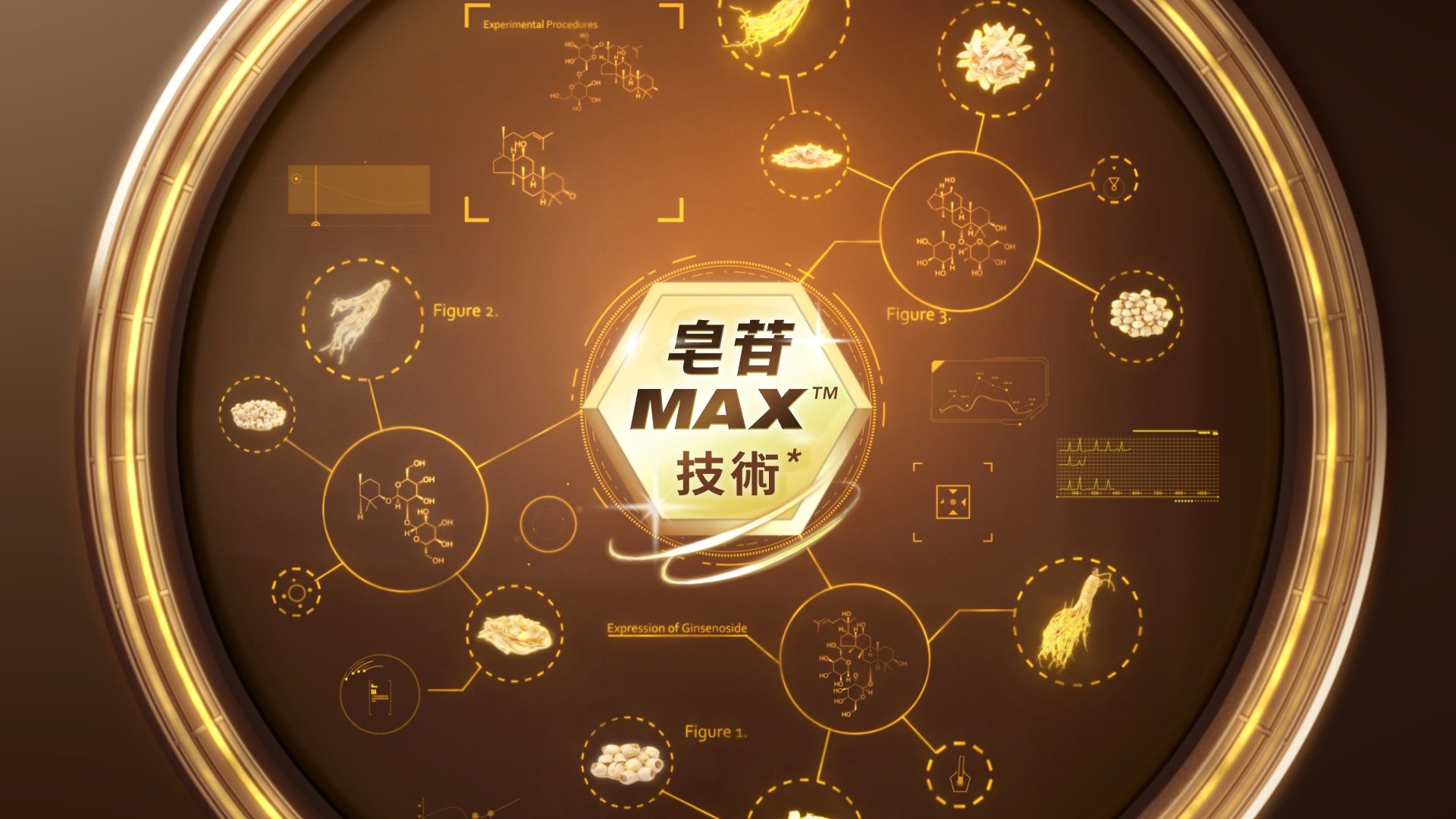 桂格養氣人蔘擁有獨家皂苷Max技術*,完整釋放多元人蔘皂苷精華