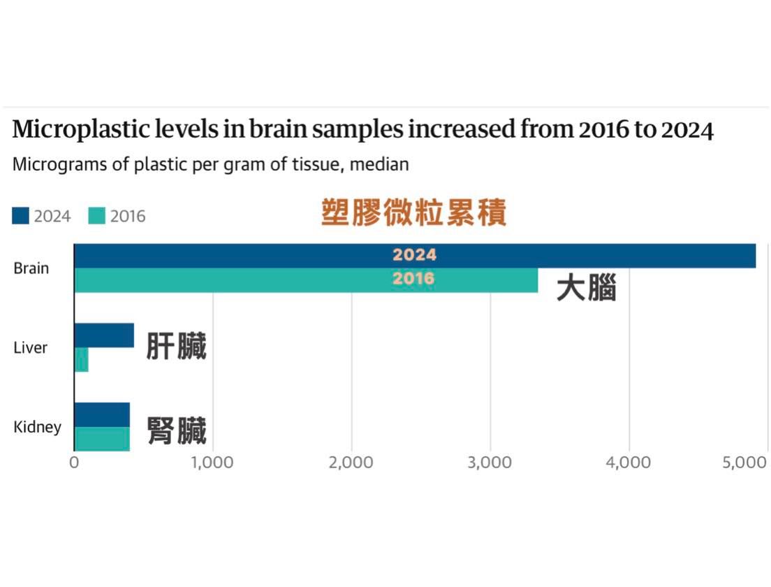 蕭捷健_塑膠微粒累積
