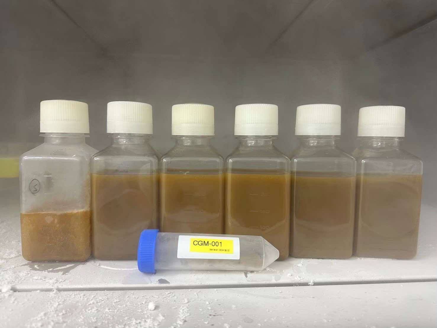 微菌治療的微菌叢製備液（李柏賢醫師提供）