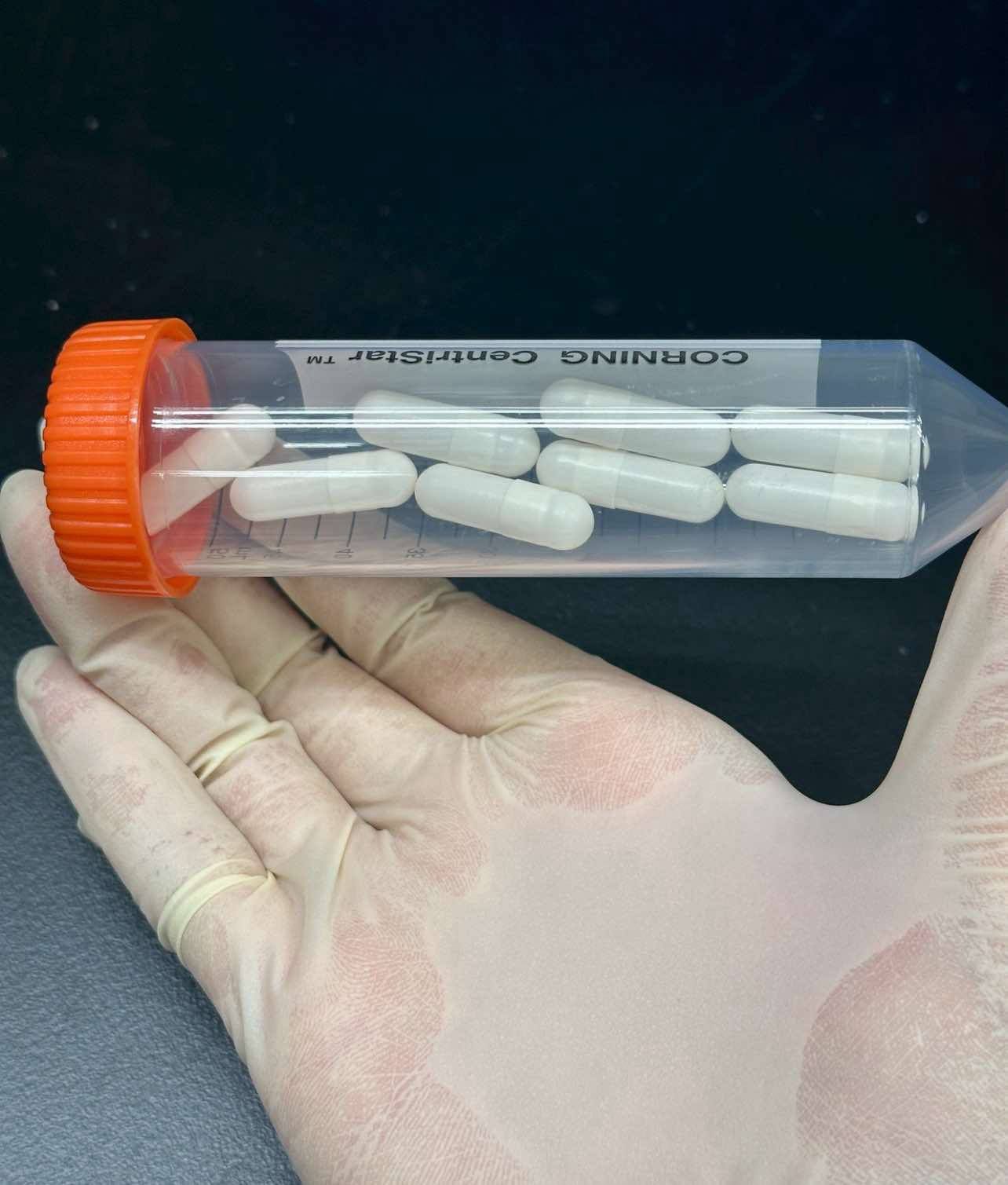 微菌治療的腸溶膠囊一個療程有八顆（李柏賢醫師提供）