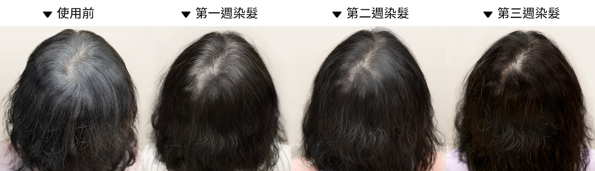 漸進式染髮示意