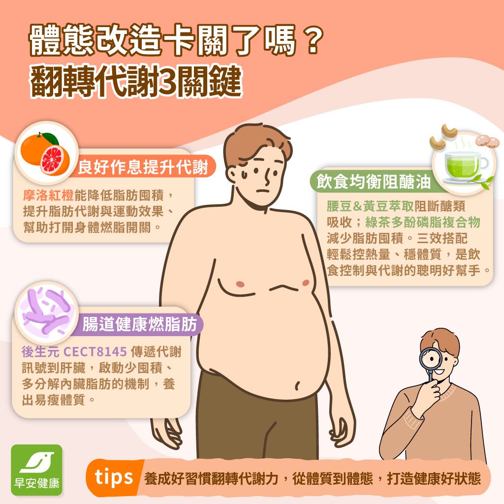 體態改造卡關了嗎？翻轉代謝3關鍵
