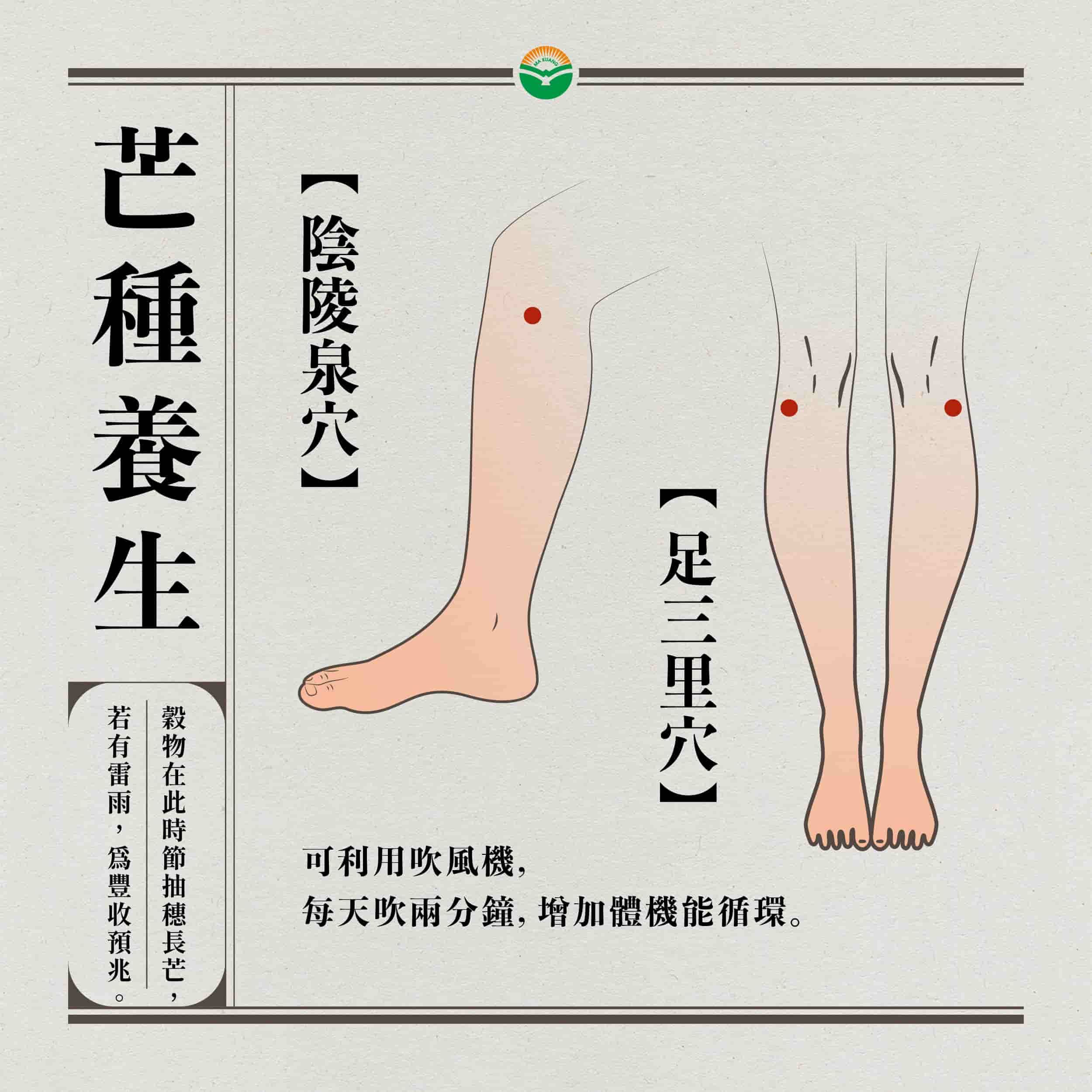 馬光中醫_24節氣_芒種_3