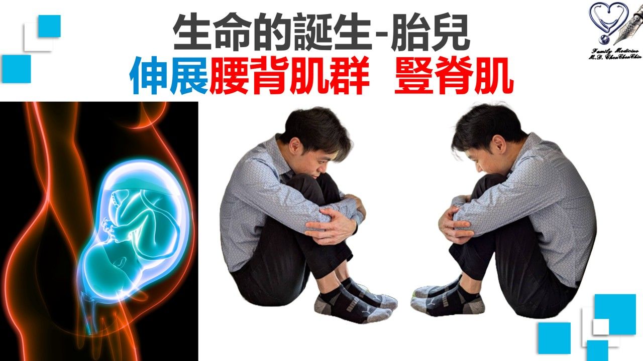 陳承勤醫師_下交叉症候群_腰背肌群伸展_屈膝抱胸