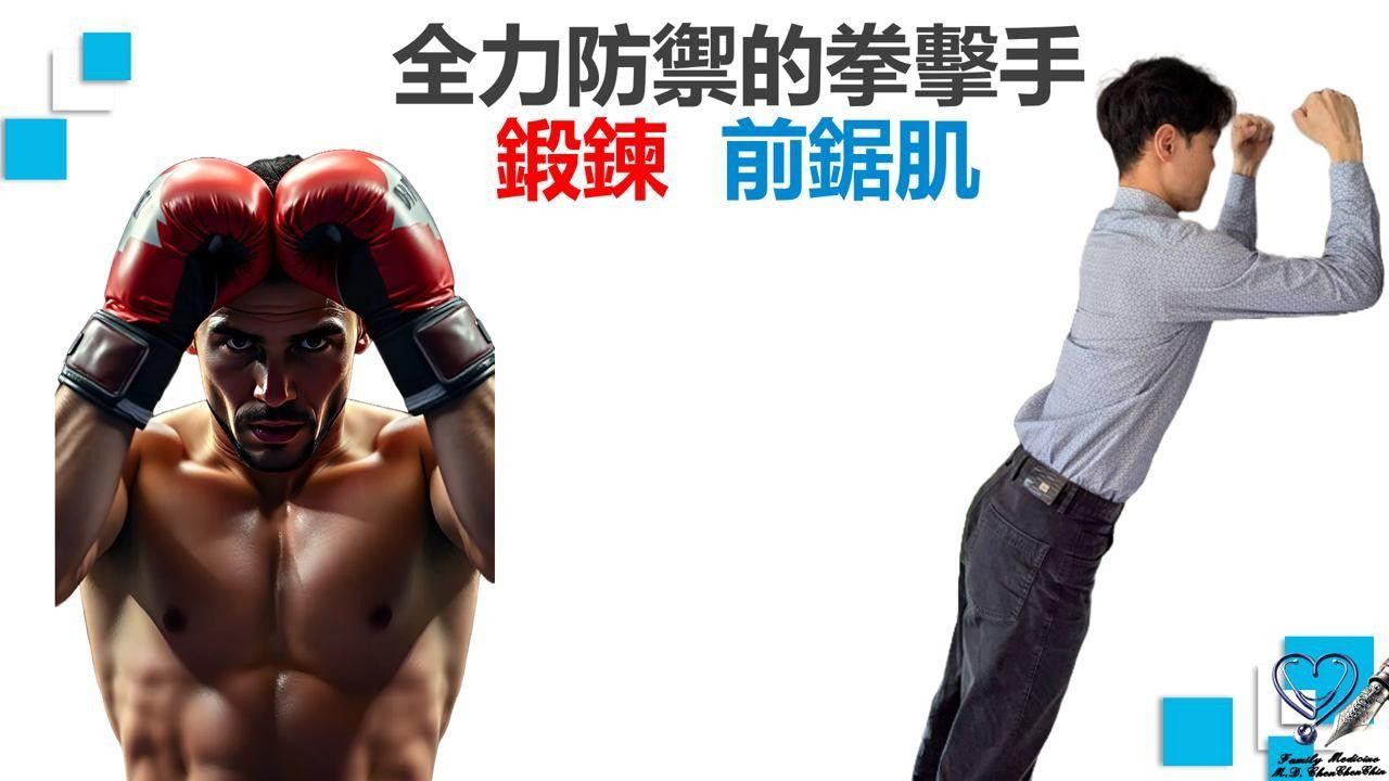 陳承勤醫師_上交叉症候群_鍛鍊前鋸肌:舉拳防守的拳擊手