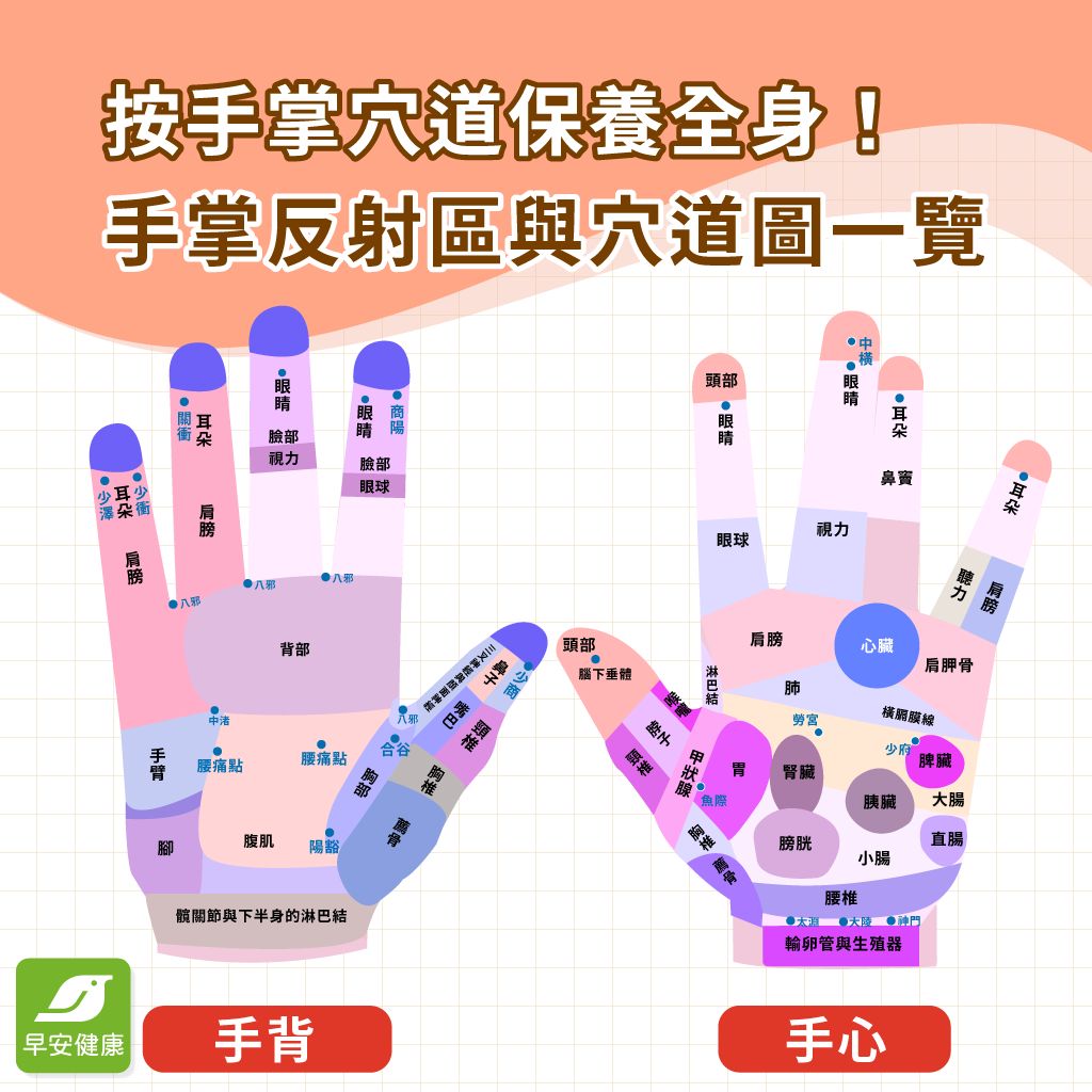 手掌穴道有哪些?穴道按壓能改善頭痛、排毒又養生