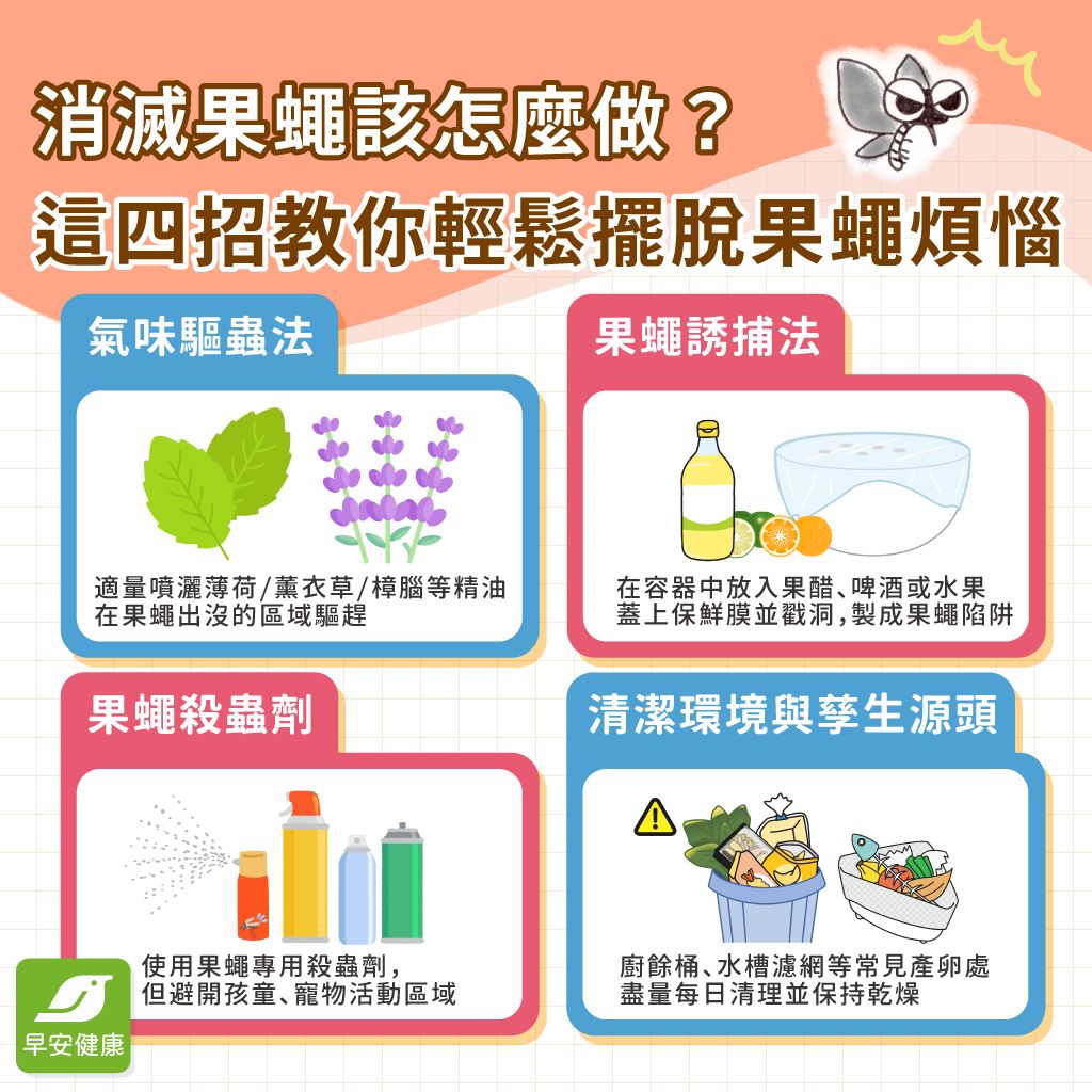 果蠅怎麼來？會自己消失嗎？專家親授消滅妙招：房間家裡一次處理