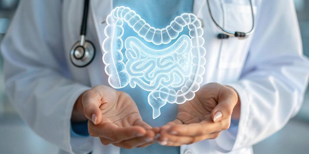 益生菌功效包含腸道健康、免疫調節、過敏改善、私密處保養與口腔防護等方面皆有具體效益