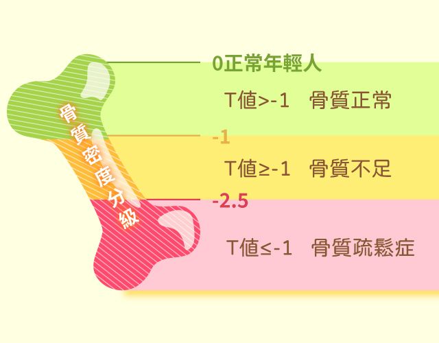 骨密度檢測表