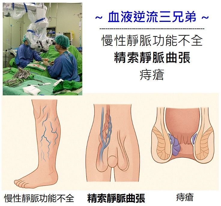 泌尿科呂謹亨醫師_血液逆流三兄弟