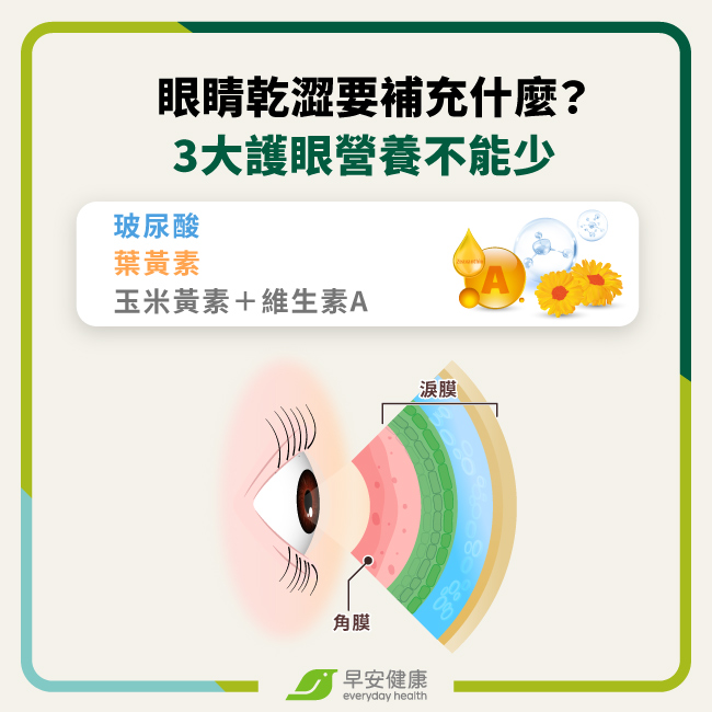 眼睛乾澀要補充什麼?3大護眼營養不能少