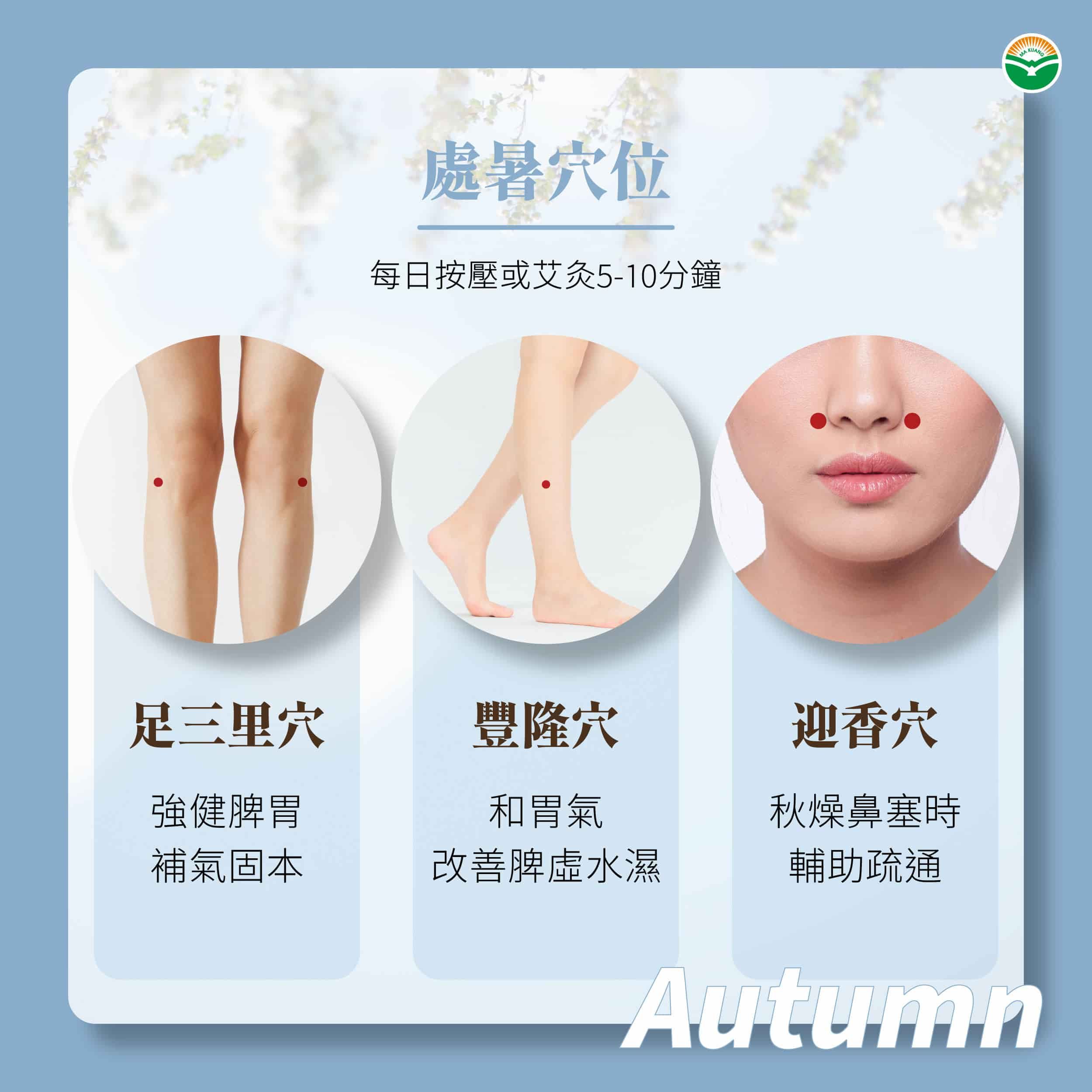 馬光中醫_處暑_穴道