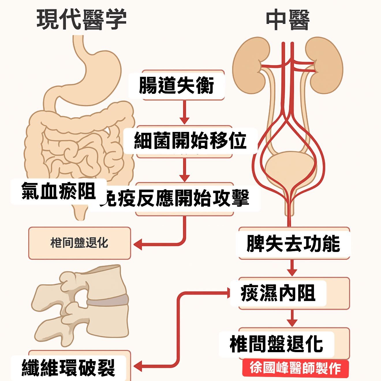 徐國峰醫師_細菌攻擊腸道