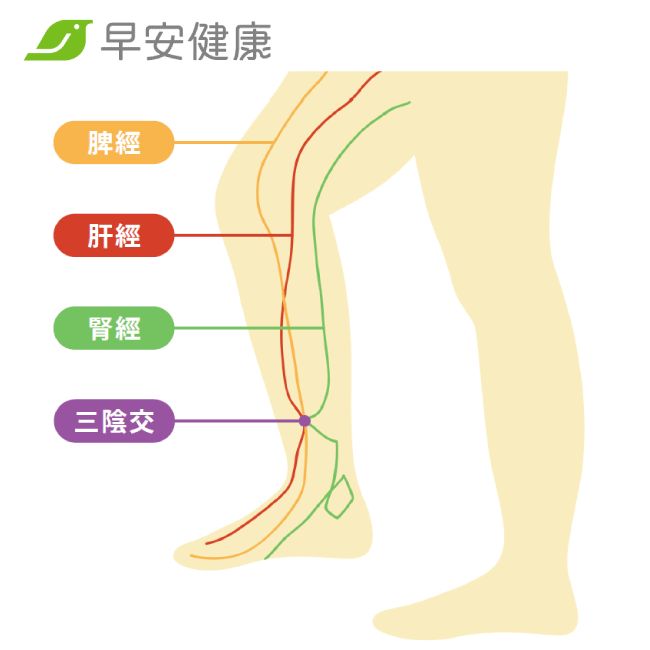 保肝、健脾、益腎經絡拍打按摩