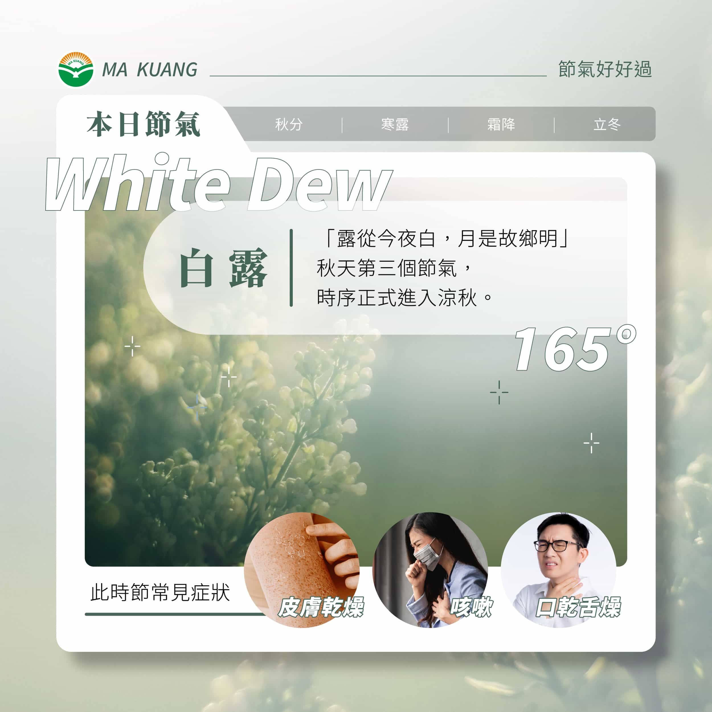 馬光_白露1