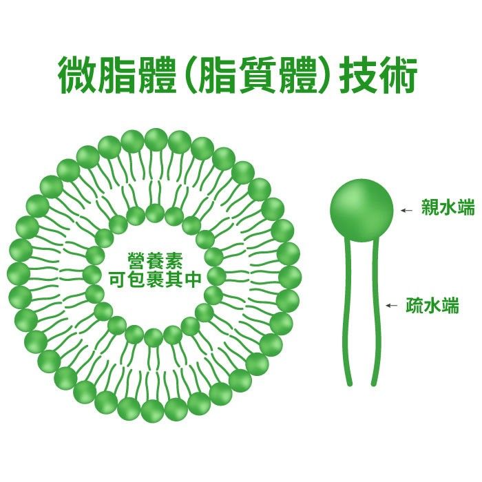 微脂體Liposome