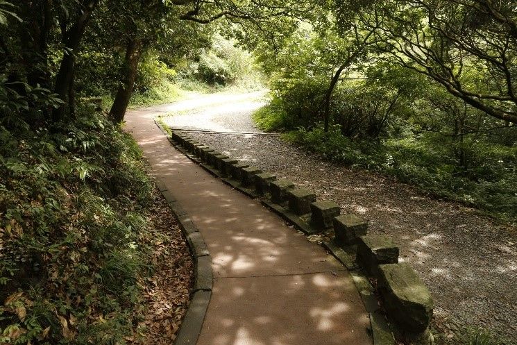 重陽節登高路線2 新北 陽明山二子坪步道