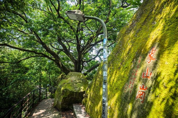 重陽節登高路線1 台北 象山親山步道