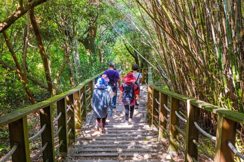重陽節登高路線3 桃園 羊稠森林步道