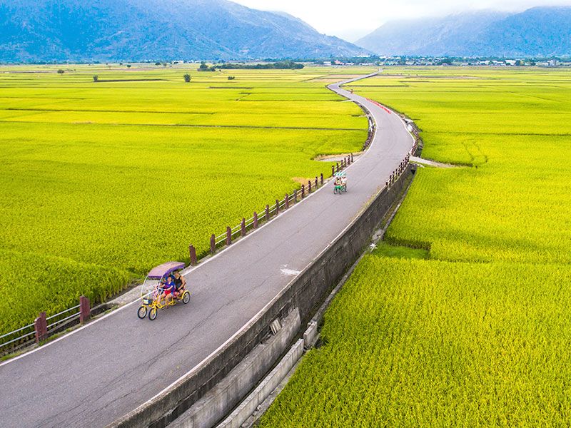 池上環鄉自行車道2