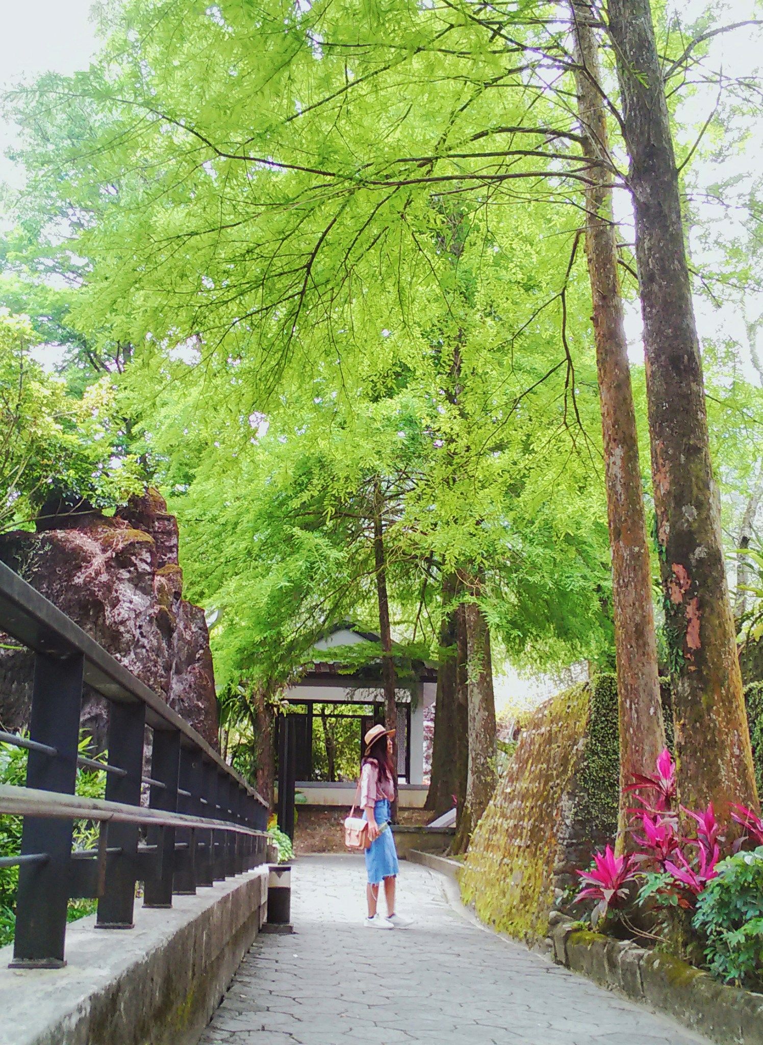 【北部養生旅遊】 坪林茶鄉文化之旅