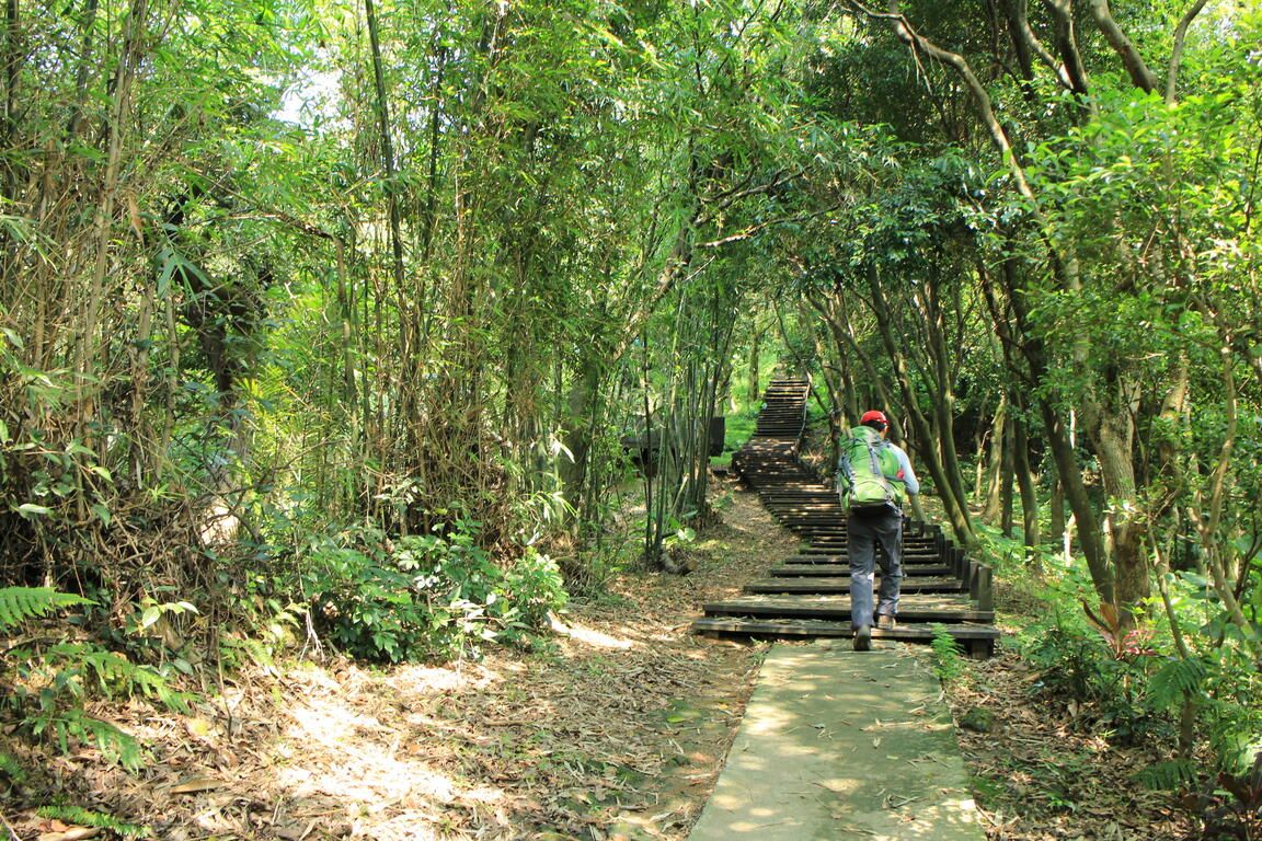 三鶯線沿線景點5：大同山步道