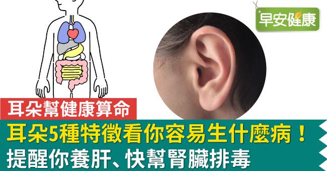 耳朵5種特徵看你容易生什麼病！提醒你養肝、快幫腎臟排毒