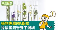 植物專屬DNA指紋　掃描基因營養不漏網