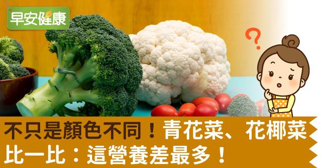 不只是顏色不同！青花菜、花椰菜比一比：這營養差最多！