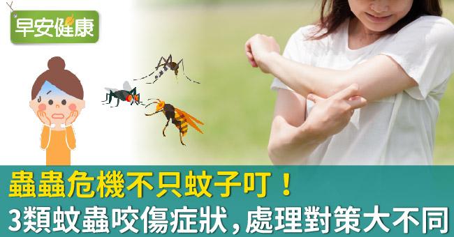 蟲蟲危機不只蚊子叮！3類蚊蟲咬傷症狀，處理對策大不同