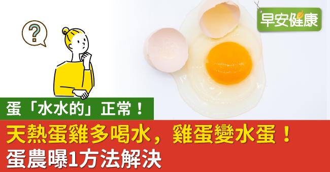 蛋「水水的」正常！天熱蛋雞多喝水，雞蛋變水蛋！蛋農曝1方法解決