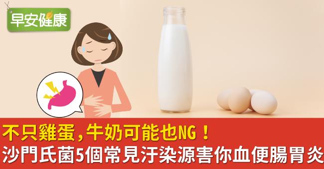 不只雞蛋，牛奶可能也NG！沙門氏菌5個常見汙染源害你血便腸胃炎