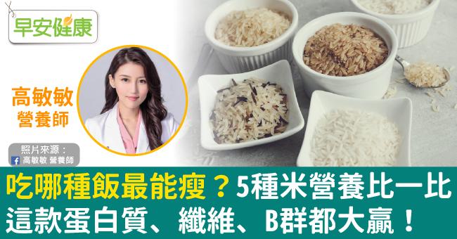 吃哪種飯最能瘦？5種米營養比一比，這款蛋白質、纖維、B群都大贏！