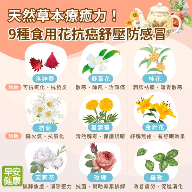 天然草本療癒力！9種可以吃的「食用花」防癌、舒壓、抗感冒