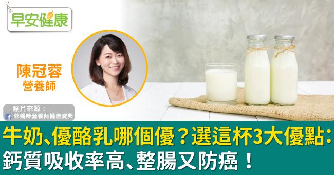 牛奶、優酪乳哪個優？選這杯3大優點：鈣質吸收率高、整腸又防癌！