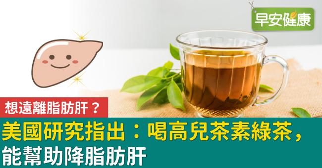 想遠離脂肪肝？美國研究指出：喝高兒茶素綠茶，能幫助降脂肪肝