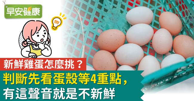 新鮮雞蛋怎麼挑？判斷先看蛋殼等4重點，有這聲音就是不新鮮