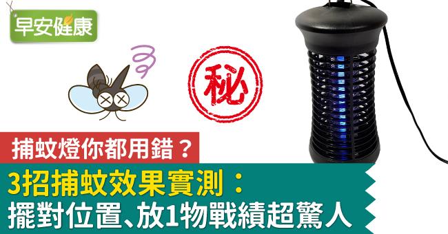 捕蚊燈你都用錯？3招捕蚊效果實測：擺對位置、放1物戰績超驚人